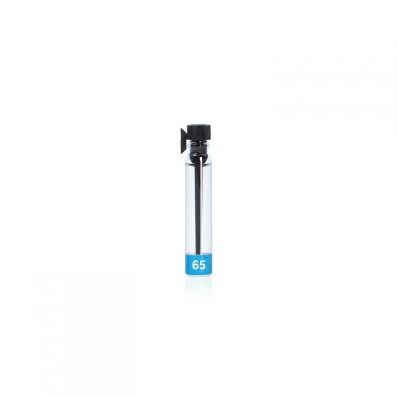 Туалетная вода мужская EC Day-to-Day 65, пробник, 2 мл